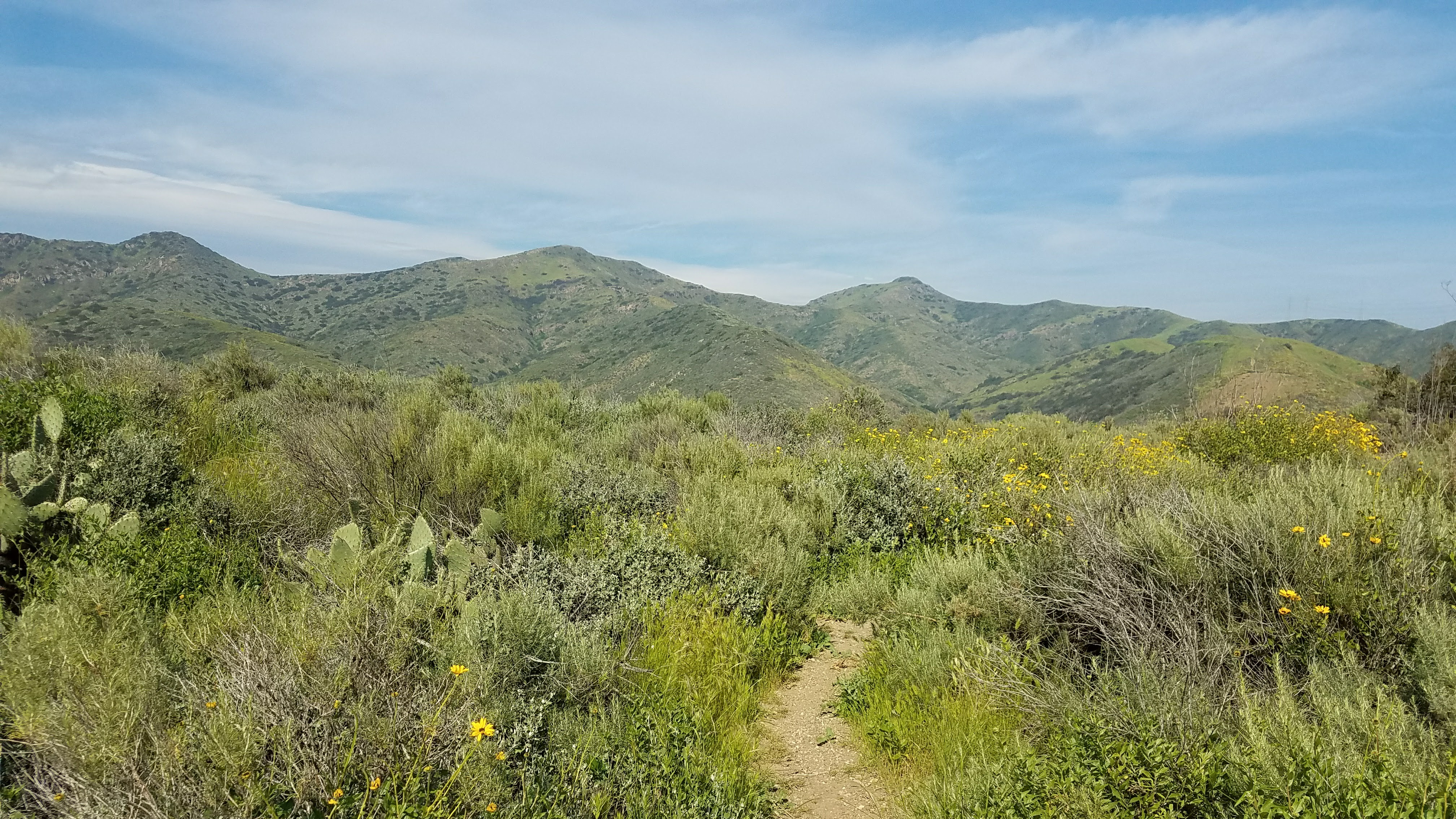Trail through Camarillo Grove Park